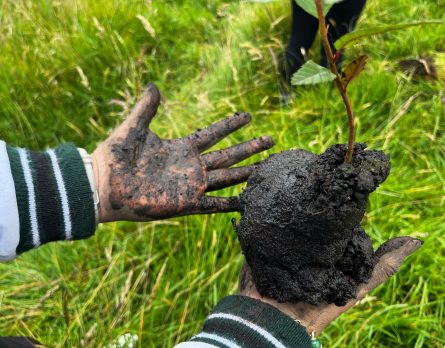 2_sostenibilidad_2025