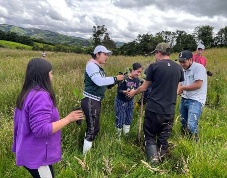 3_sostenibilidad_2025