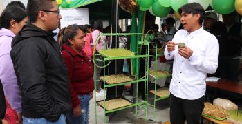 4_sostenibilidad_2025