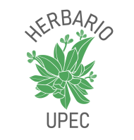 Herbario_UPEC_2